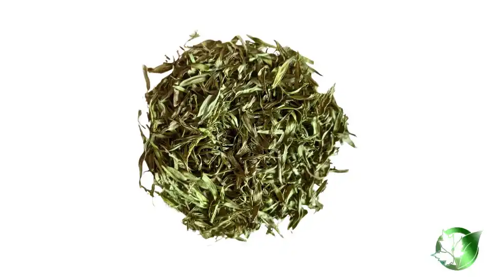 Bulk Dried Tarragon | Suppliers | Wholesale | ParsaFood Global